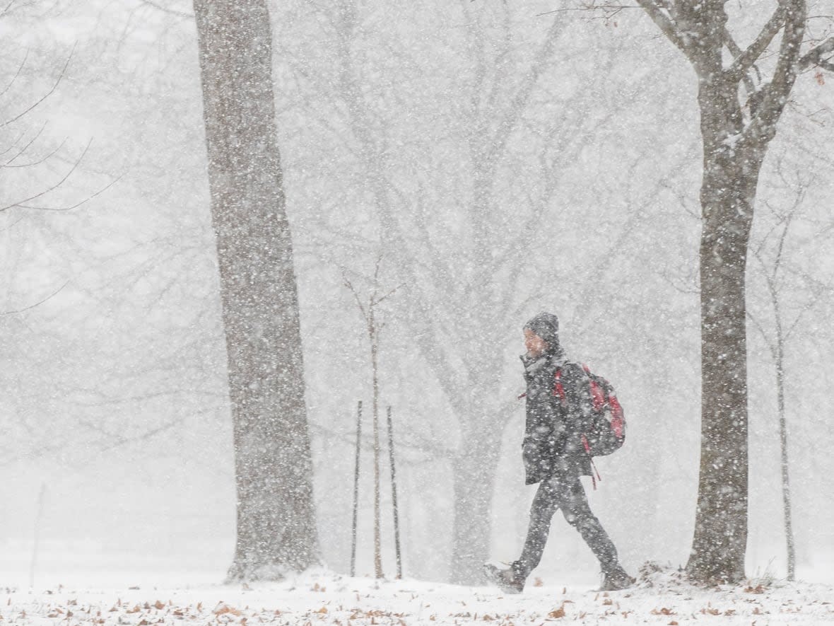 A person walks in a park during morning flurries in Kingston, Ont., on Wednesday. The region reported its first COVID-19 case involving the omicron variant yesterday. (Lars Hagberg/The Canadian Press - image credit)