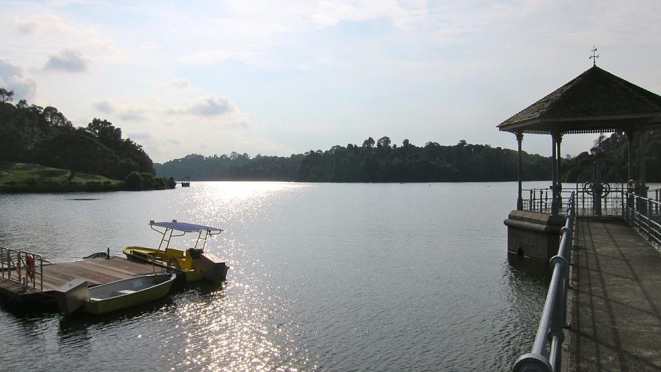 property-near-popular-parks-in-singapore-macritchie (3)