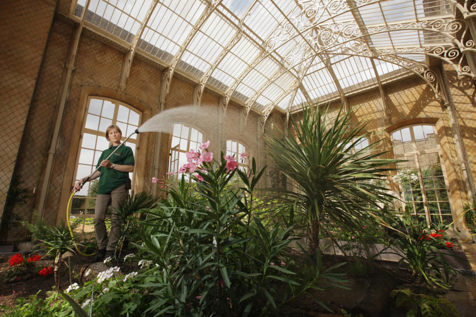 Corinne Price waters plants in the conservatory at Wrest Park.