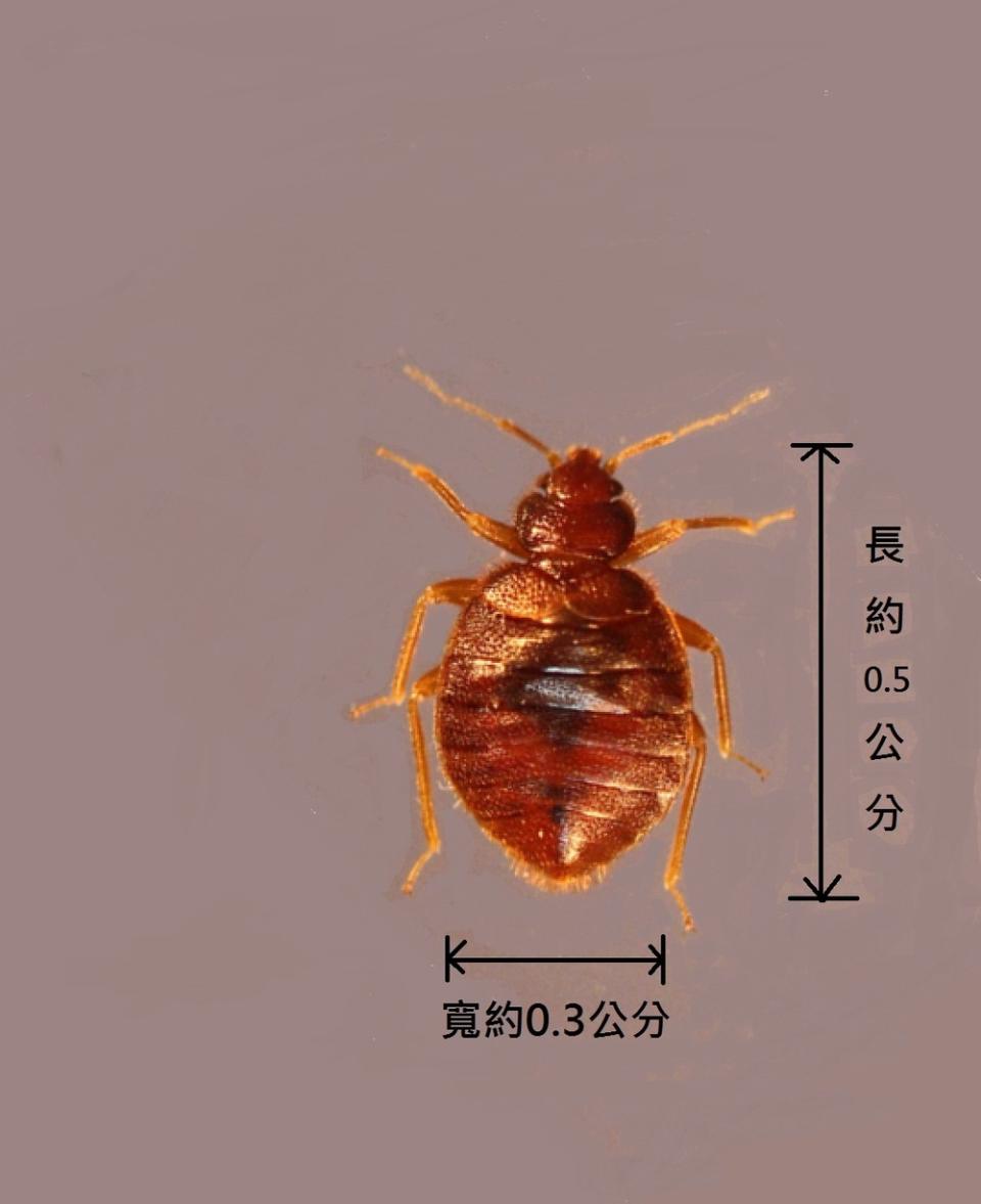 圖片翻攝自 環境部 官網