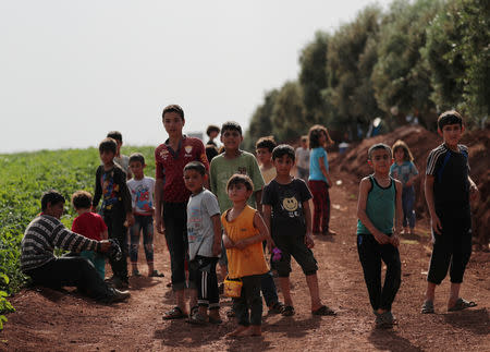 Displaced Syrian children from the al-Ahmed family stand in an olive grove in the town of Atmeh, Idlib province, Syria, May 16, 2019. REUTERS/Khalil Ashawi