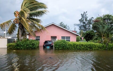 A palm tree bends in the wind next to a flooded street after the effects of Hurricane Dorian arrived in Nassau,Bahamas - Credit: REUTERS/John Marc Nutt