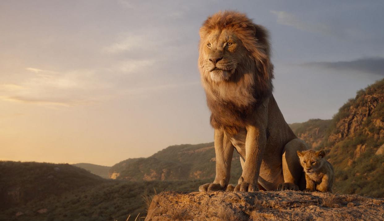 Szene aus “Der König der Löwen”: Das Realfilm-Remake ist technisch perfekt umgesetzt. Wird das Schicksal Simbas uns aber auch emotional mitreißen? (© 2019 Disney Enterprises, Inc. All Rights Reserved)