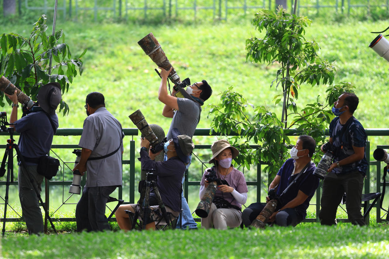 Photo enthusiasts take a picture of a white-throated kingfisher on September 4, 2021 in Singapore. (Photo by Suhaimi Abdullah/NurPhoto via Getty Images)