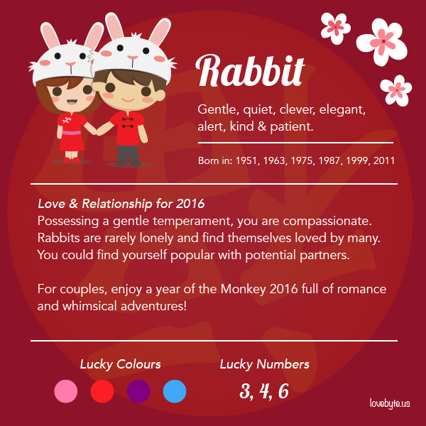 4_Rabbit