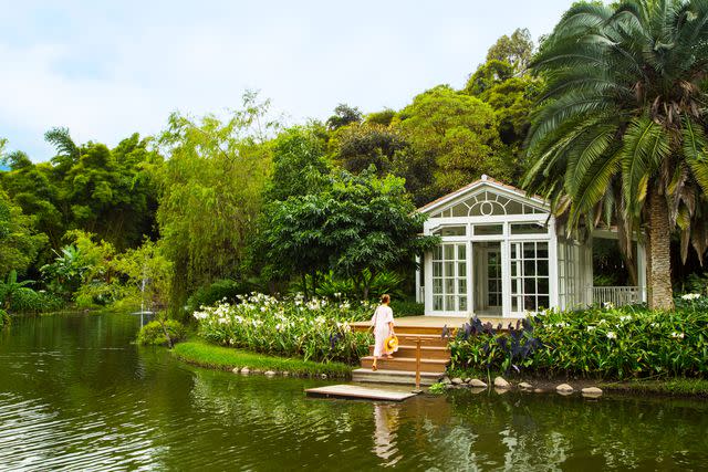 <p>Joaquin Trujillo</p> The greenhouse at Villa Bokéh.