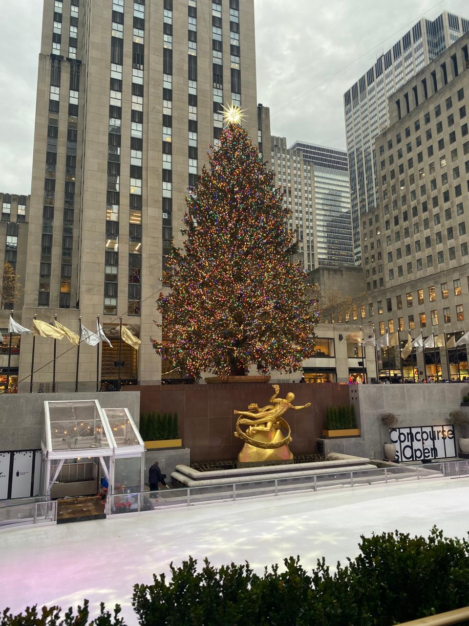 30 rock christmas tree and ice skating rink