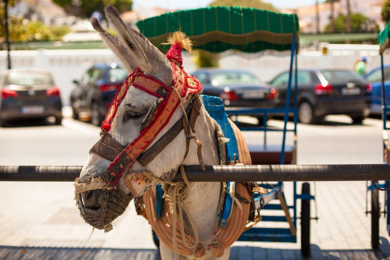 Donkey taxis are popular in Mijas Pueblo: Getty Images