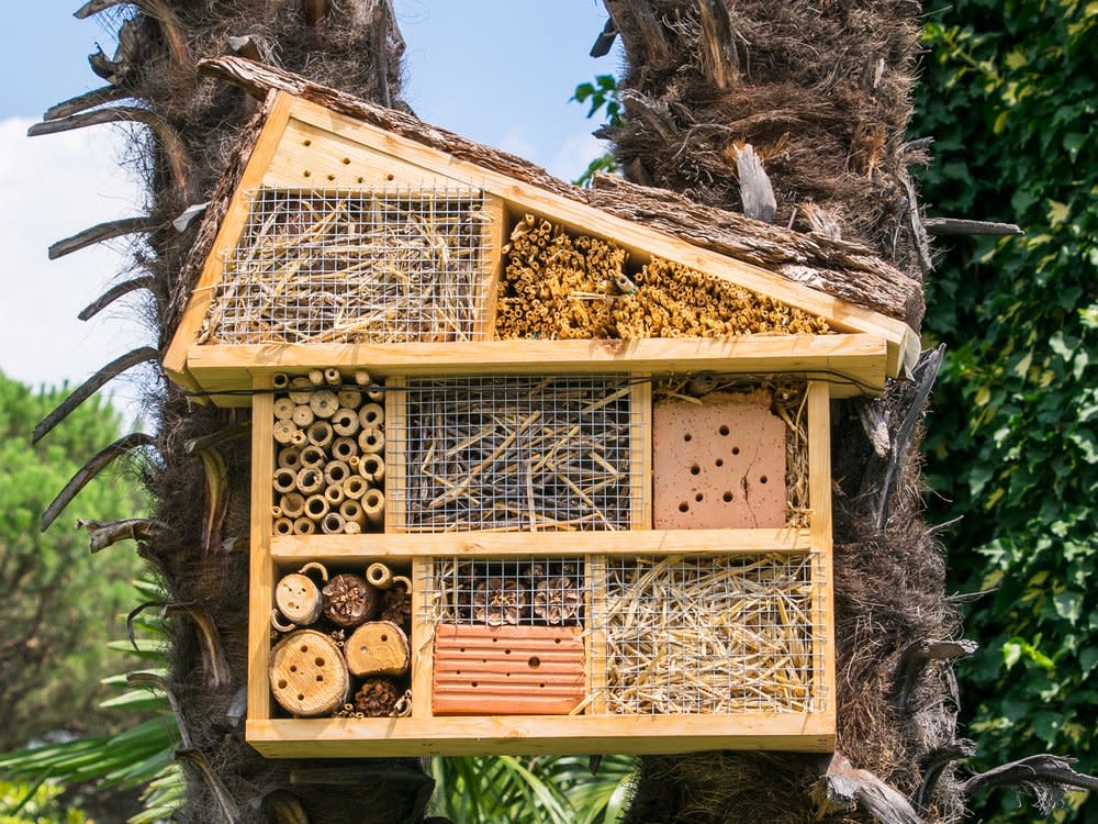 Insektenhotels gibt es in unterschiedlichen Formen und VArianten. (Bild: magnetix/Shutterstock.com)