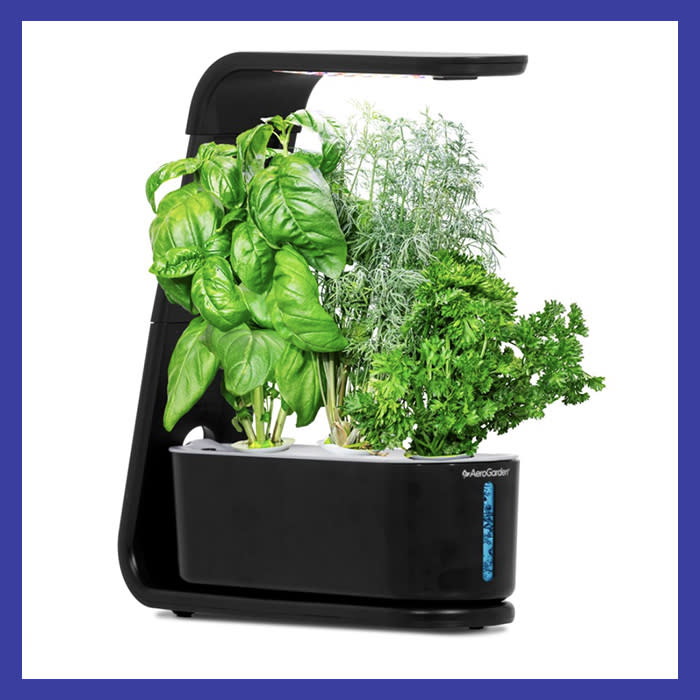 Grow your very own garden (no green thumb required). (Photo: Walmart)