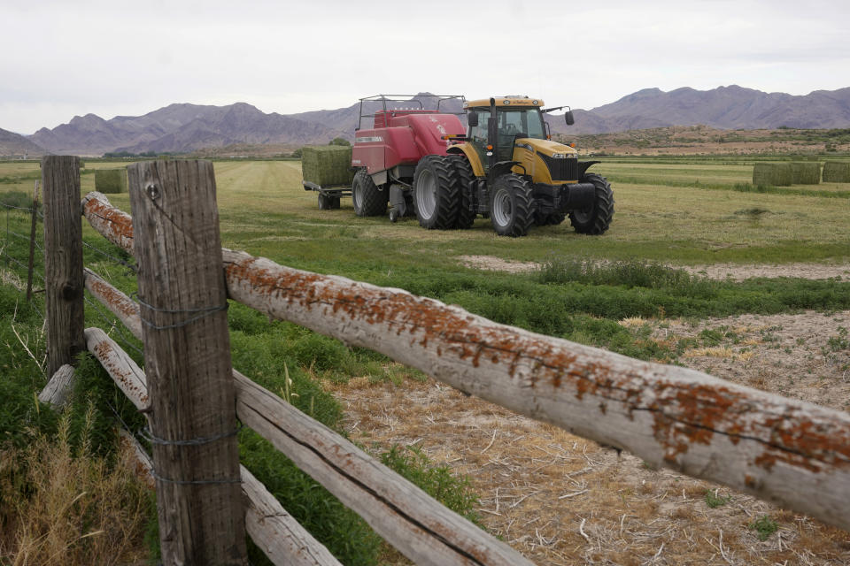 A tractor carries hay through a field Wednesday, June 22, 2022, near Delta, Utah. In this tiny Utah town surrounded by cattle, alfalfa fields and scrub-lined desert highways, hundreds of workers over the next few years will be laid off as the coal power plant closes— casualties of environmental regulations and competition from cheaper energy sources. (AP Photo/Rick Bowmer)