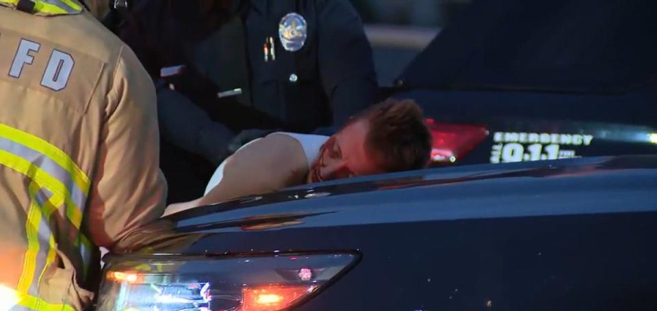 The suspect was arrested shortly after the multi-vehicle collision on Freeway 405, Los Angeles (Fox 11)