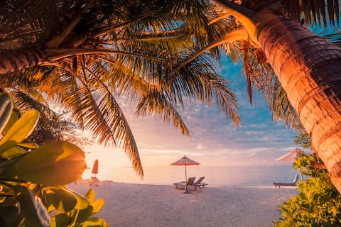 A beach in the Seychelles - Credit: LEVENTE BODO