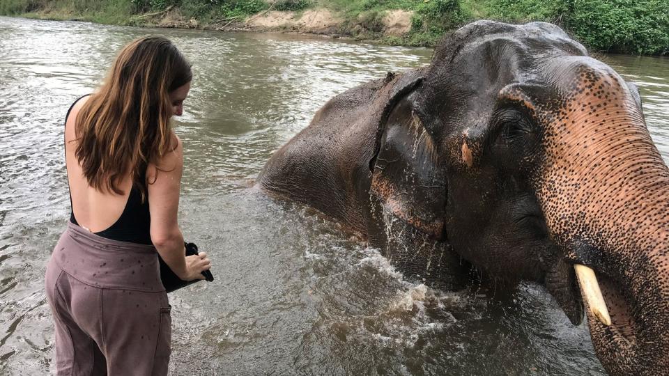 elephant nature park thailand