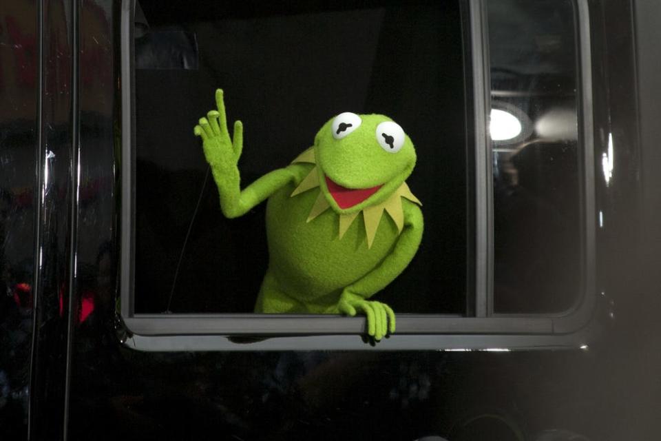 Kermit der Frosch - Copyright: Harmony Gerber/Shutterstock.com