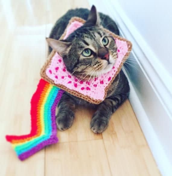 CrochetAndChardonnay Nyan Cat Costume