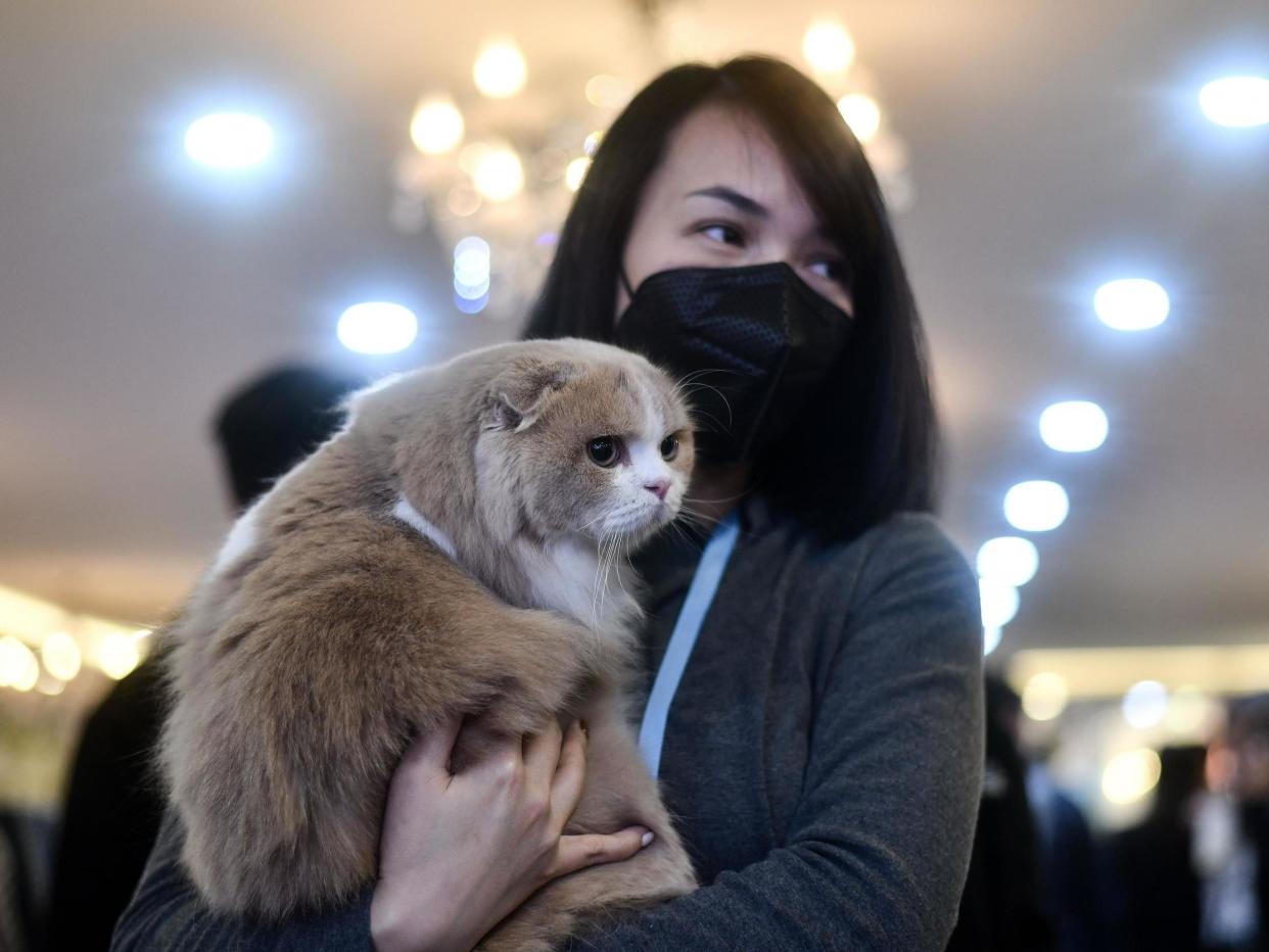 AFP via Getty Images