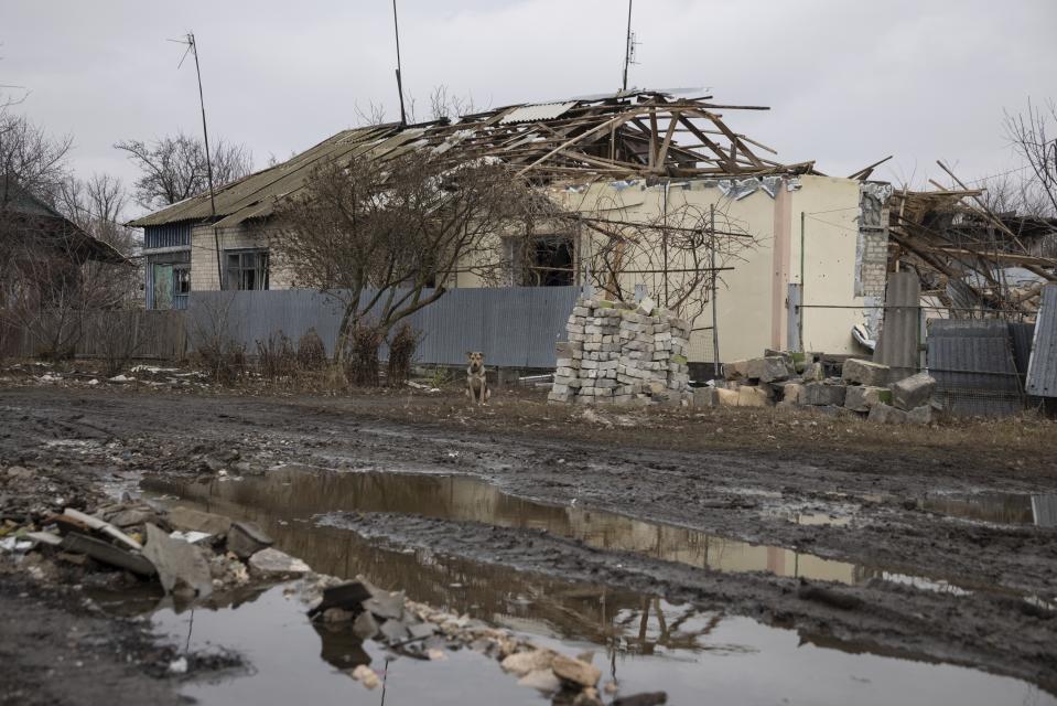 A dog sits outside Liudmyla Momot's house on Friday, Dec. 10, 2021, after the home was struck by a mortar shell fired by Russia-backed separatists in the village of Nevelske in eastern Ukraine. The village, northwest of the rebel-held city of Donetsk, is only about 3 kilometers (2 miles) from the line of contact between the separatists and the Ukrainian military and has been emptied of all but five people. Small arms fire frequently is heard in the daytime, giving way to the booms of light artillery and mortars after dusk. (AP Photo/Andriy Dubchak)