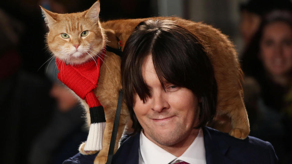 Streetcat named bob movie premiere