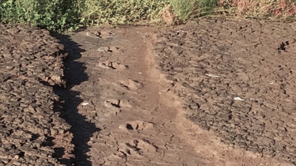 Dinosaur footprints belonging to a theropod can be seen in the Sousa Basin. - Ismar de Souza Carvalho