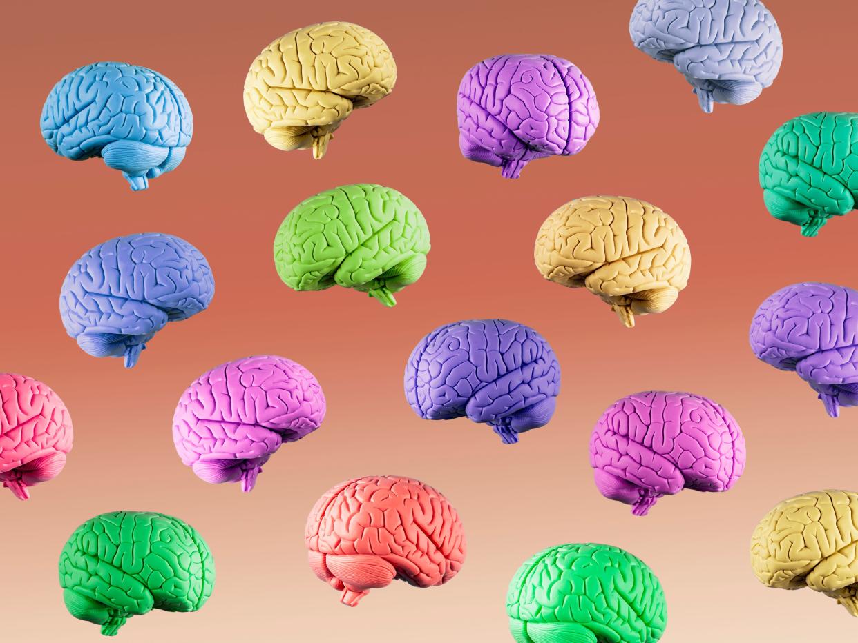 Blue, green, yellow, purple, and orange human brains floating in midair on gradated brown background, studio shot