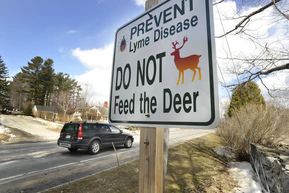Deer are critically important hosts for ticks.
