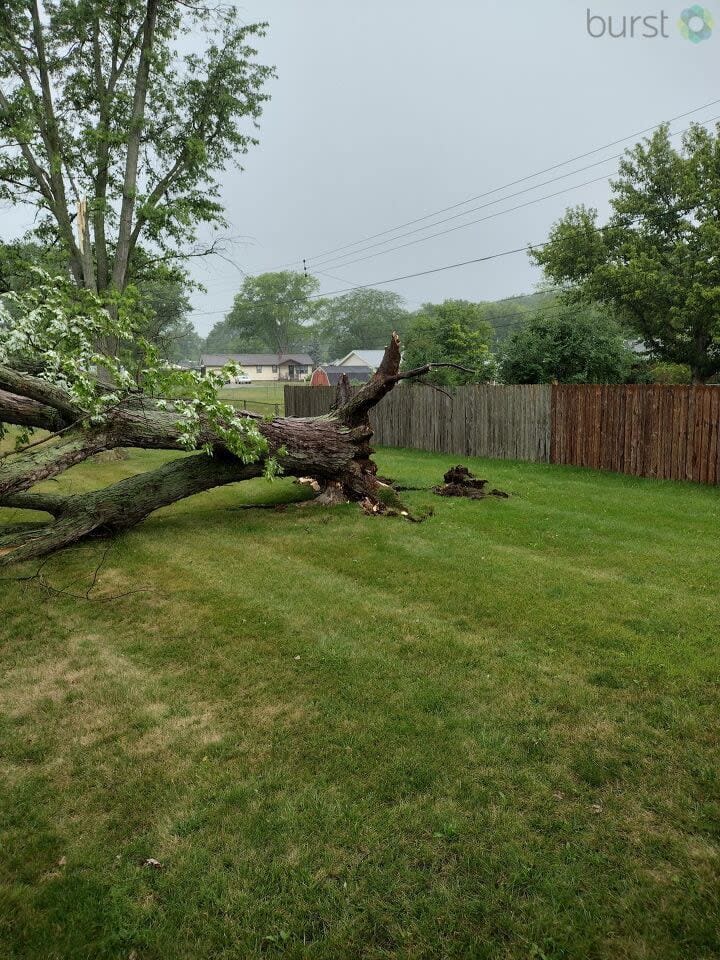 Storm Damage in the Miami Valley