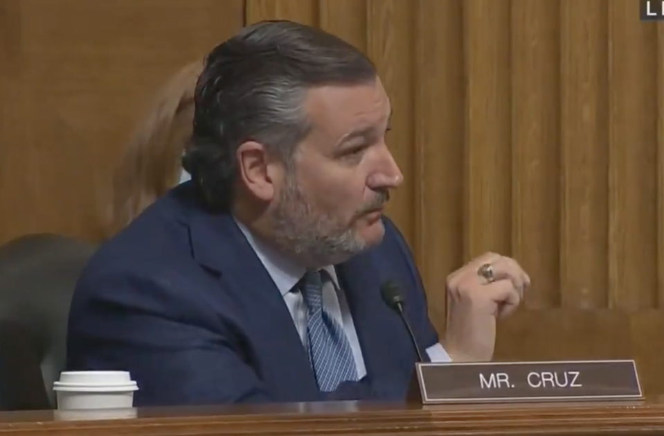 <p>Senator Ted Cruz speaks at a hearing on Tuesday 11 May on gun violence.</p> (Twitter/C-SPAN)