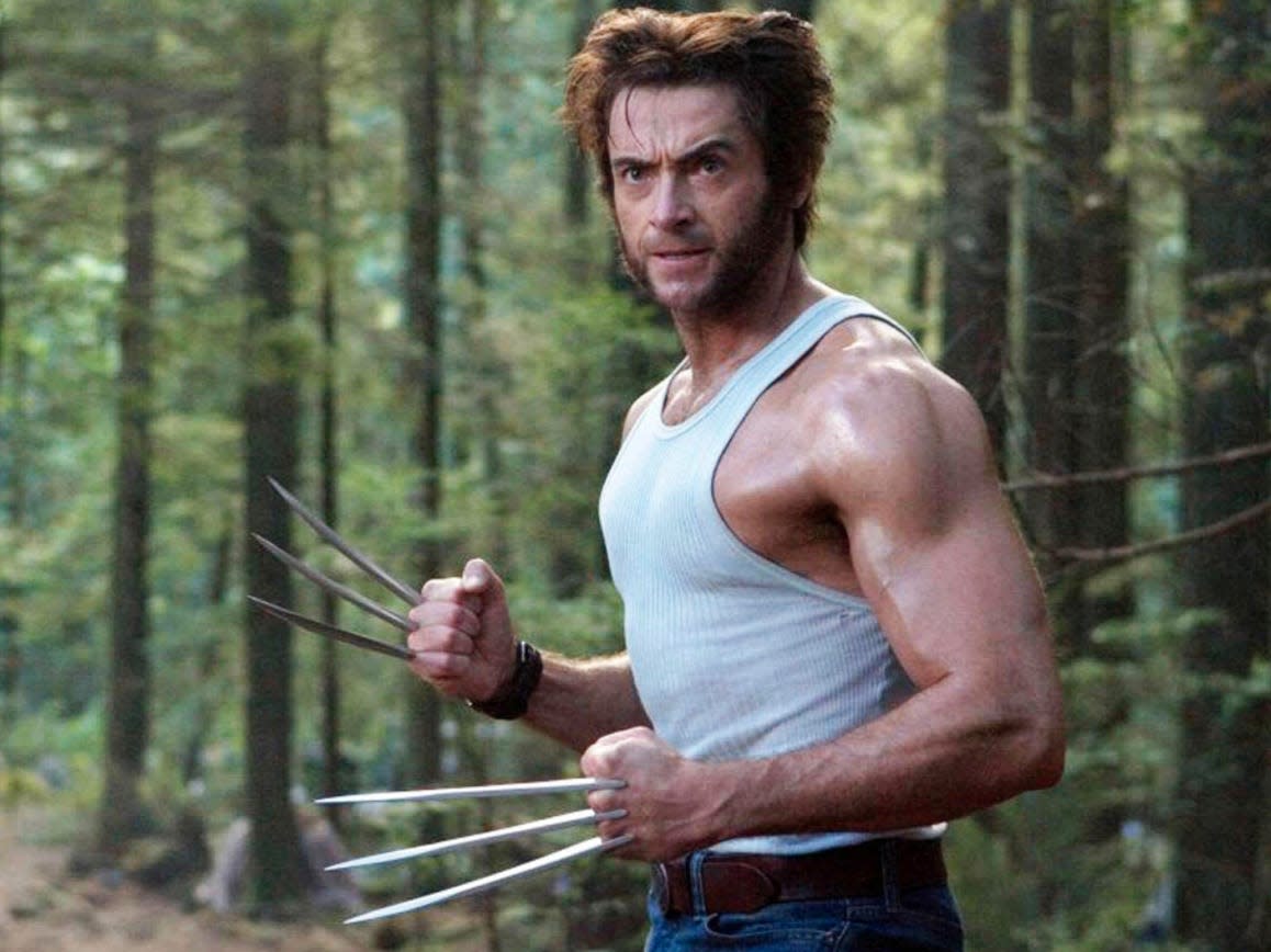 wolverine