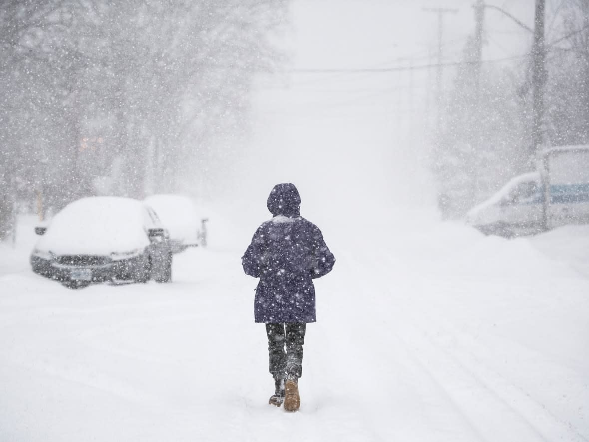 A person walks down the centre of the road amid heavy snow and driving wind in Ottawa, on Monday, Jan. 17, 2022.  (Justin Tang/The Canadian Press - image credit)