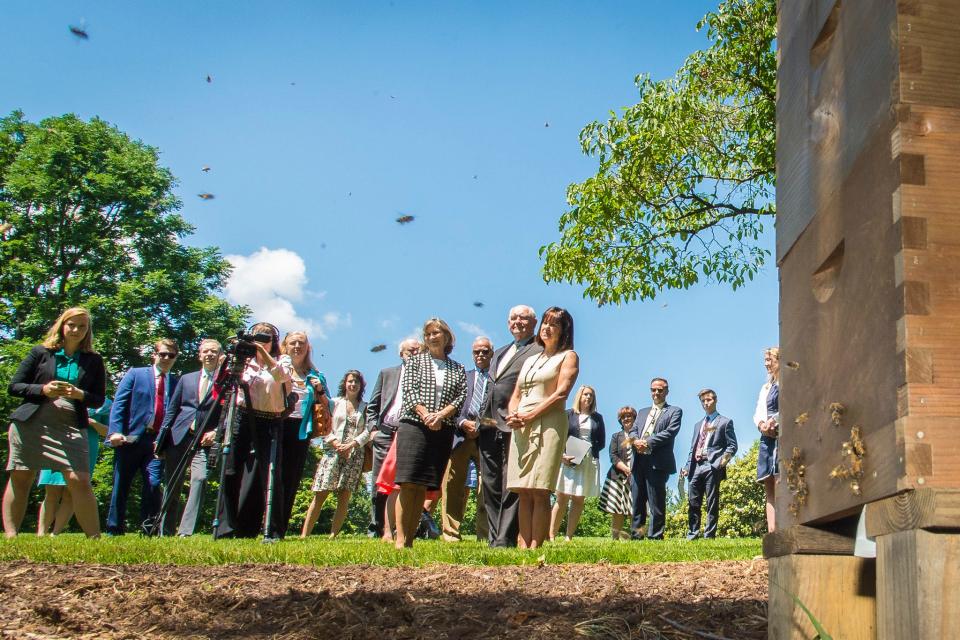 karen pence beehive bees one observatory circle vp residence