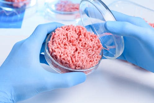   <span class="attribution"><a class="link " href="https://www.shutterstock.com/image-photo/artificial-lab-grown-meat-petri-dish-720022951?src=YLdgGaHKXLevox4-Ad721A-1-6" rel="nofollow noopener" target="_blank" data-ylk="slk:Nevodka/Shutterstock;elm:context_link;itc:0;sec:content-canvas">Nevodka/Shutterstock</a></span>