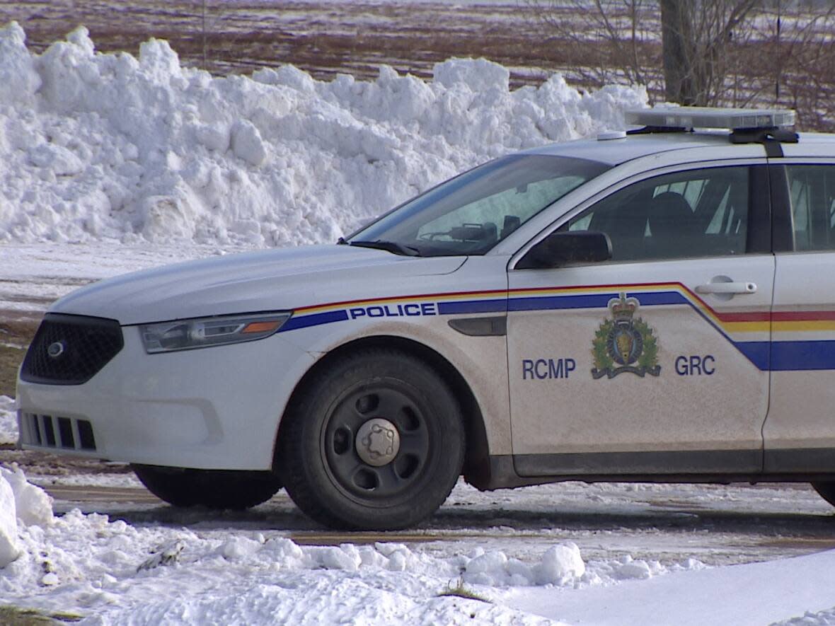 The RCMP says a man is dead after the snowmobile he was driving struck a tree near the town of Terra Nova early Saturday morning. (CBC  - image credit)