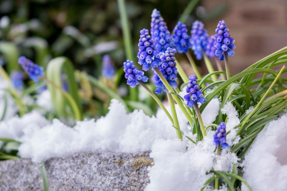 <p>Der Frühling dreht auf, die hohen Temperaturen locken ganz Deutschland raus an die frische Luft. Doch kaum freuen wir uns über den nahenden Sommer, werden wir schon wieder ausgebremst: die Eisheiligen stehen vor der Tür. Aber was hat das eigentlich zu bedeuten? Und wie viel Wahrheit steckt in anderen Wetterregeln? Wir gehen den Bauernregeln auf den Grund und erklären, was sie bedeuten. (Bild: iStock / Ben Slater)</p> 