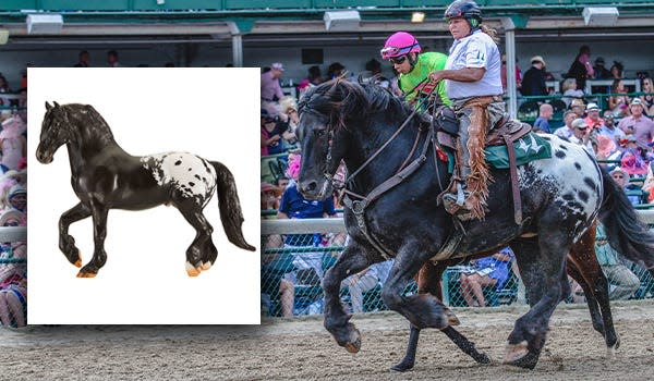 A fan-favorite for his beautiful coat and size, Harley became a Breyer horse model in 2018. The model is sold in the Kentucky Derby Museum shop.