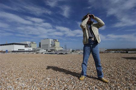 Ornithologist Hans van Brandwijk of Amsterdam, uses binoculars to look for migrating Pomarine Skua seabirds by Dungeness nuclear power station in Kent, southern England April 30, 2013. REUTERS/Suzanne Plunkett