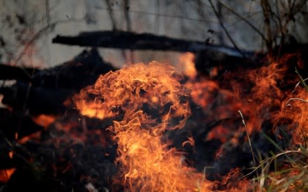 Tract of the Amazon jungle burns as it is cleared by loggers and farmers in Porto Velho