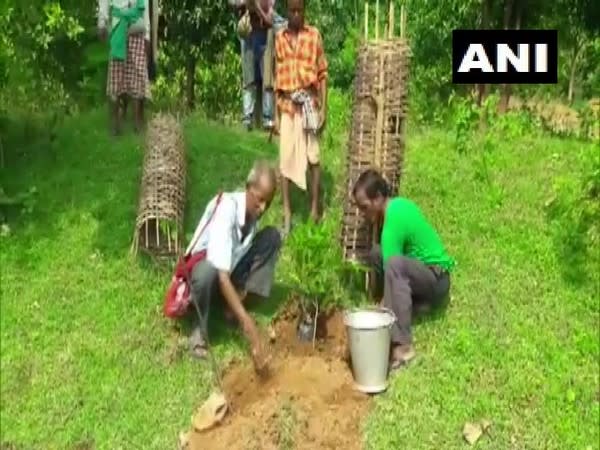 72-year-old 'Tree Teacher' plants more than 30,000 trees over 60 years (Photo/ANI) 