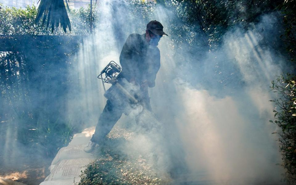 A worker spraying insecticide for mosquitos in Bangkok, Thailand - Athit Perawongmetha/Reuters