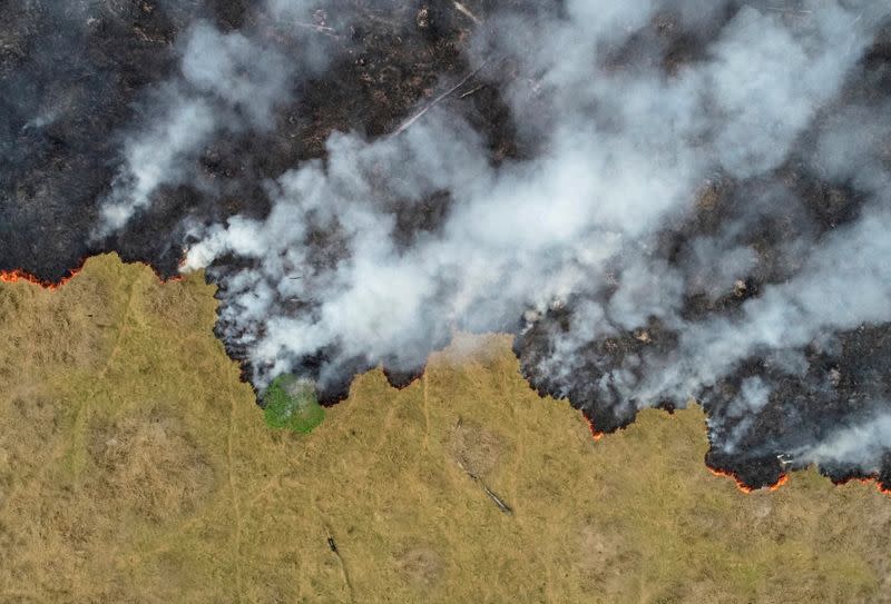 FILE PHOTO: Brazil Amazon deforestation climbs more than 100% in November over same month last year -gov't agency