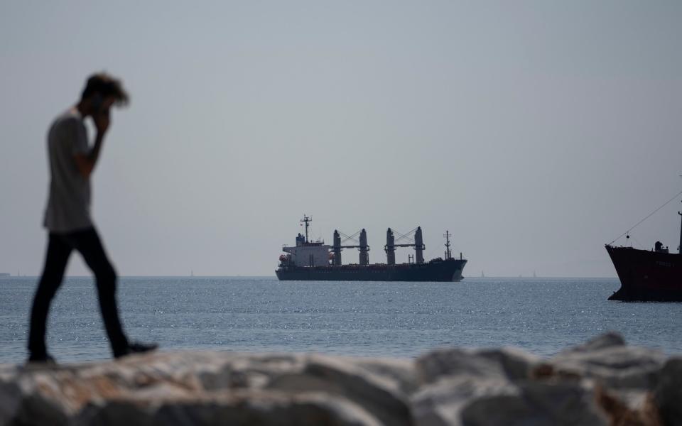 The Panama-flagged cargo ship Lady Zehma anchors in the Marmara Sea in Istanbul, Turkey - AP