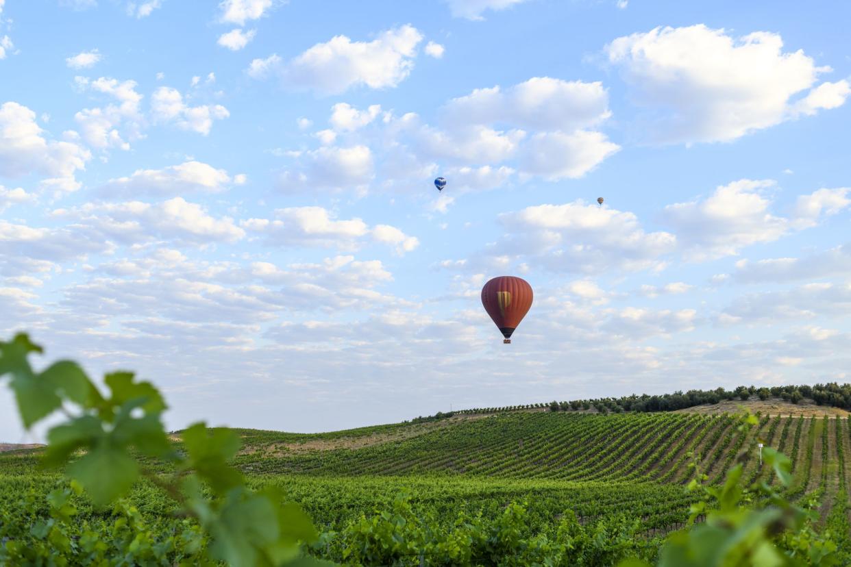 Hot Air Balloons rise over  Temecula, California vineyard.