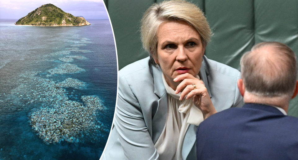 Right -  Tanya Plibersek in parliament looking concerned. Left - bleaching of the Great Barrier Reef with an island in the background.