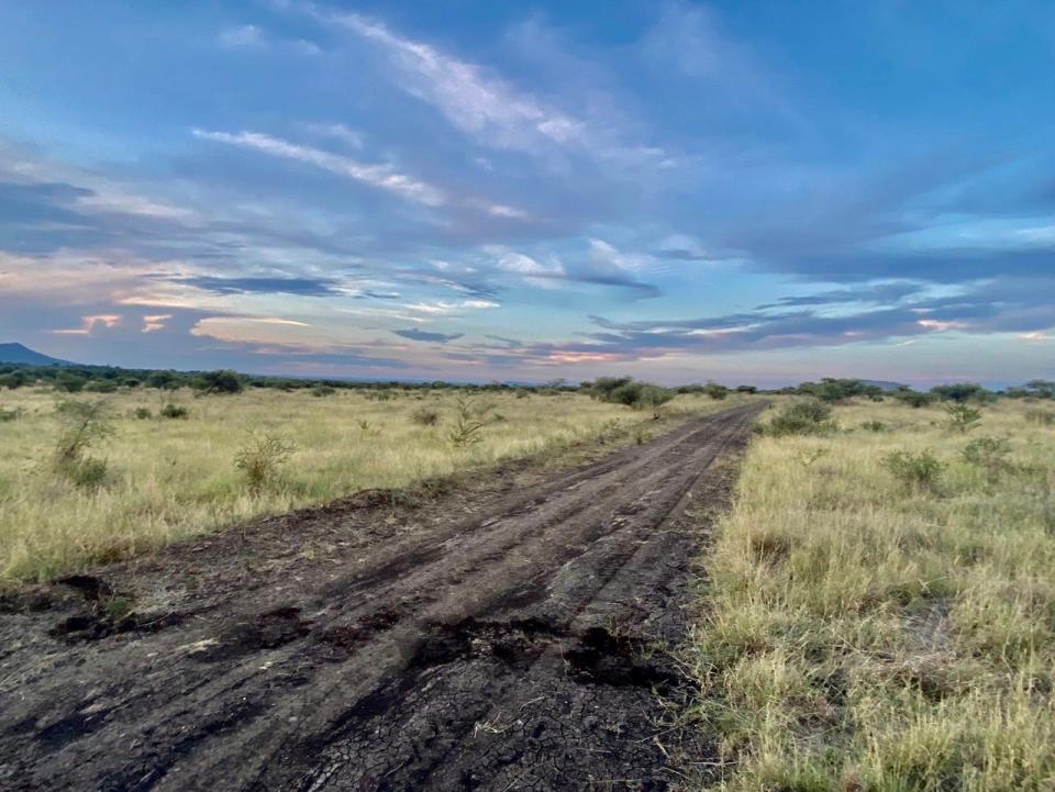 A road with recent signs of animal traffic