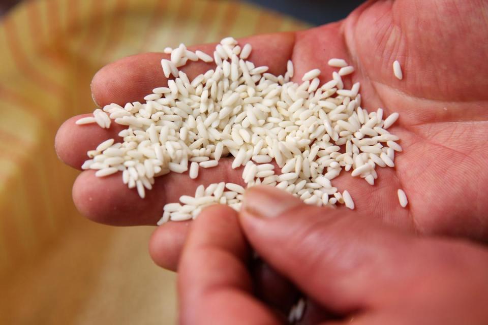 選用彰化八堡圳的長糯米，米粒黏性高、口感Q。
