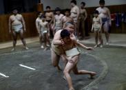 The Wider Image: Meet Kyuta: the 10-year-old, 85-kilo sumo in training