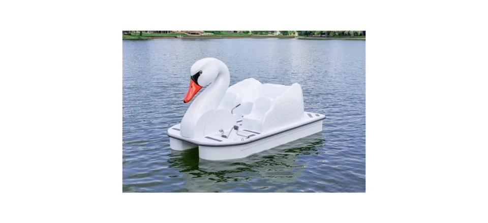 A swan pedal boat available for rental on the canal.