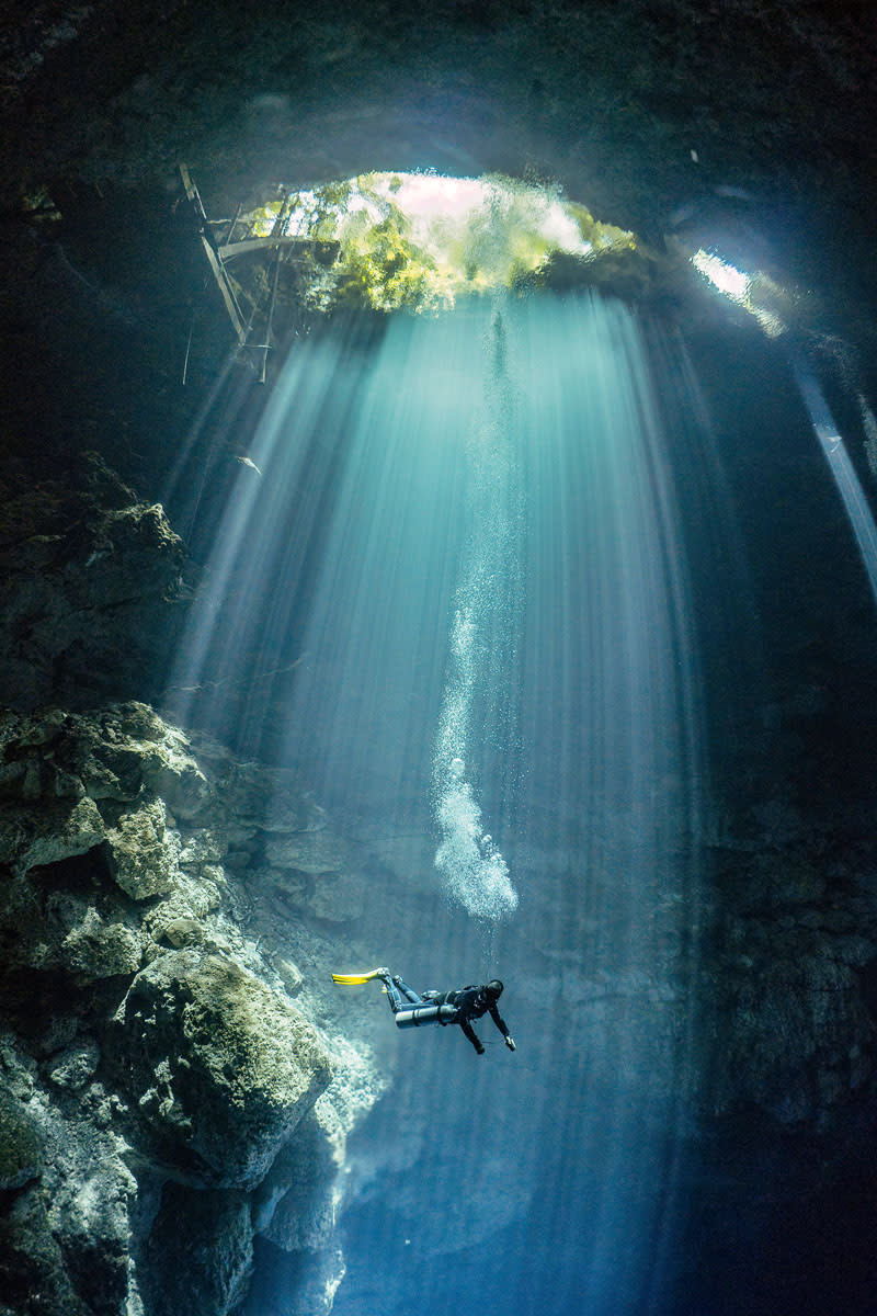 Beam me up! Beeindruckende Unterwasseraufnahmen