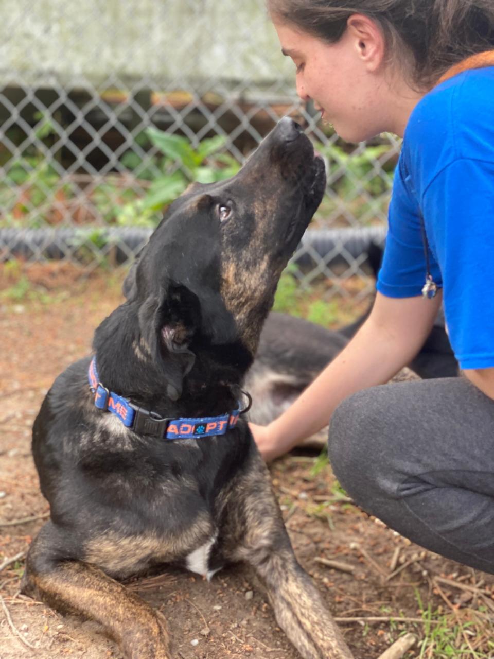 A staff favorite, Ace now has multiple HAP staff members continue to dogsit for him.