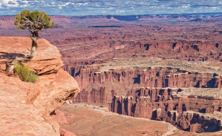 Grand View Point